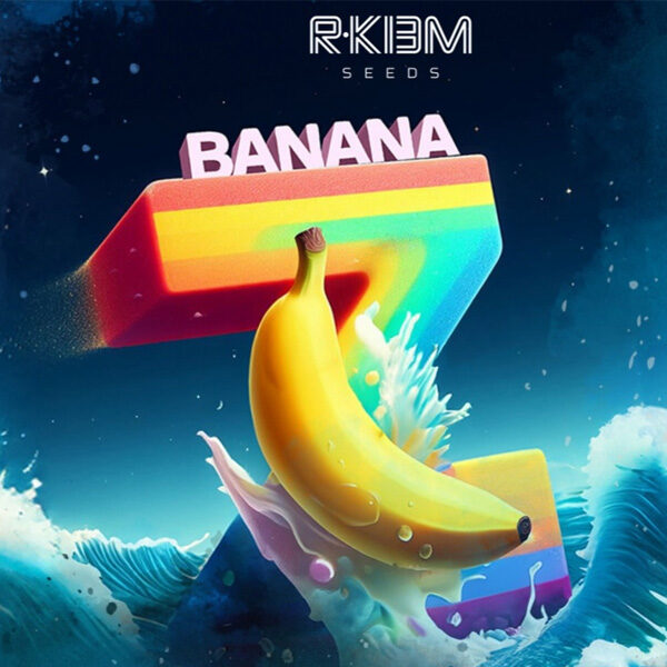 Banana Z feminizada de R-kiem Seeds