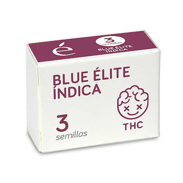 Blue Elite Indica feminizada de Elite Seeds