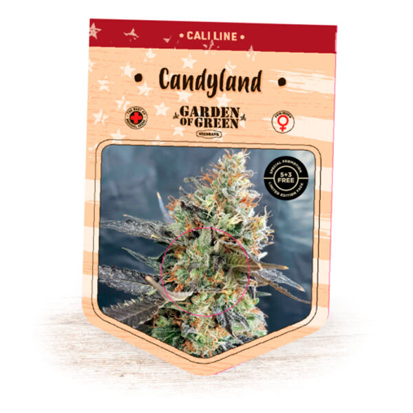 Candyland feminizada de Garden Of Green Seeds