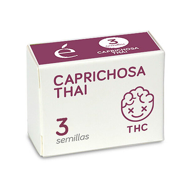 Caprichosa Thai feminizada de Elite Seeds