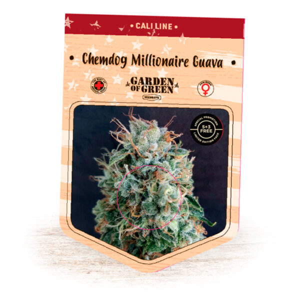 Chemdog Millionaire Guava feminizada de Garden Of Green Seeds