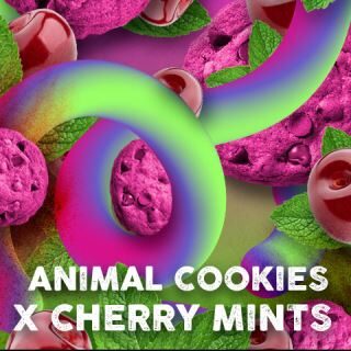 Cherry Cookies Mints feminizada de Tramuntana Seeds