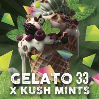 Gelato Mints feminizada de Tramuntana Seeds
