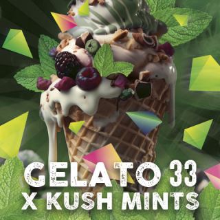 Gelato Mints feminizada de Tramuntana Seeds