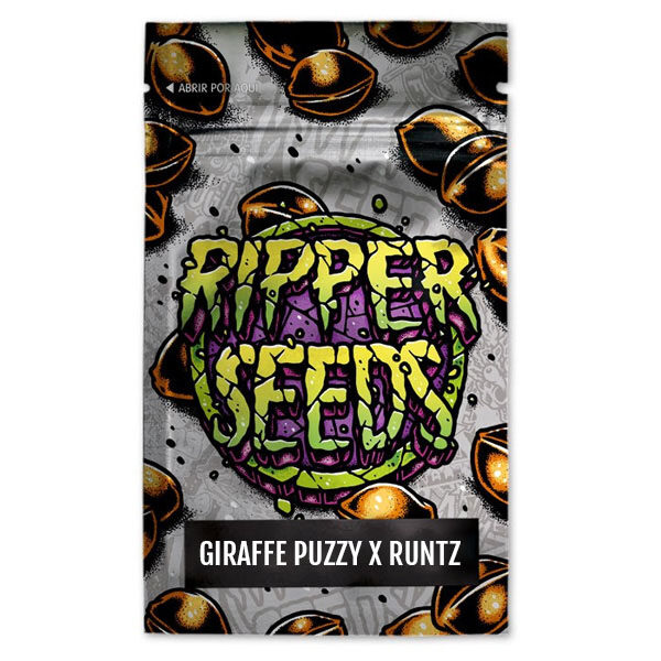 Giraffe Puzzy X Runtz feminizada de Ripper Seeds