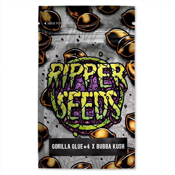 Gorilla Glue 4 X Bubba Kush feminizada de Ripper Seeds