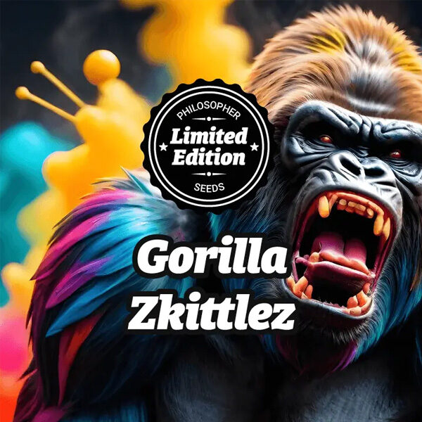 Gorilla Zkittlez feminizada de Philosopher