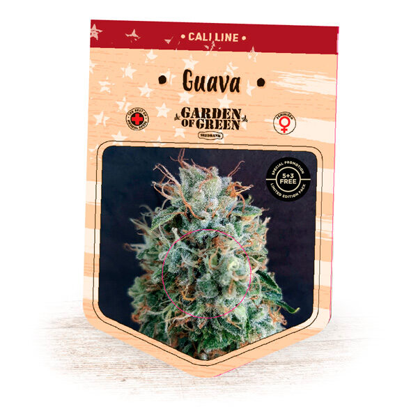 Guava feminizada de Garden Of Green Seeds