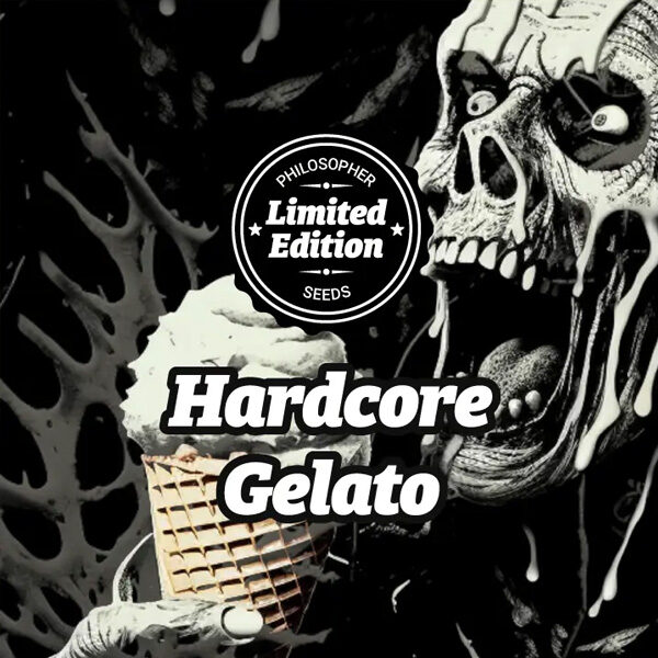 Hardcore Gelato feminizada de Philosopher