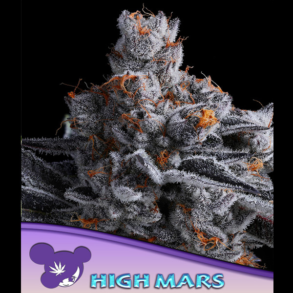 High Mars feminizada de Anesia Seeds