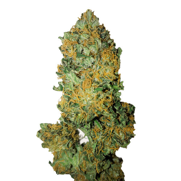 Lemon Diesel feminizada de Cbd+ Buds