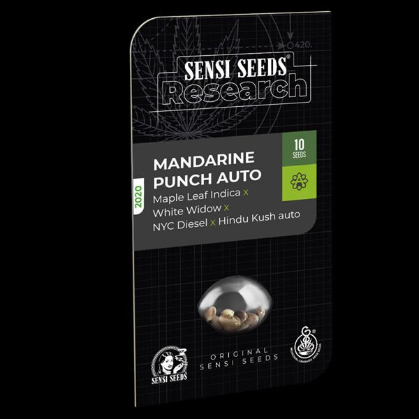 Mandarine Punch feminizada de Sensi Seeds Research
