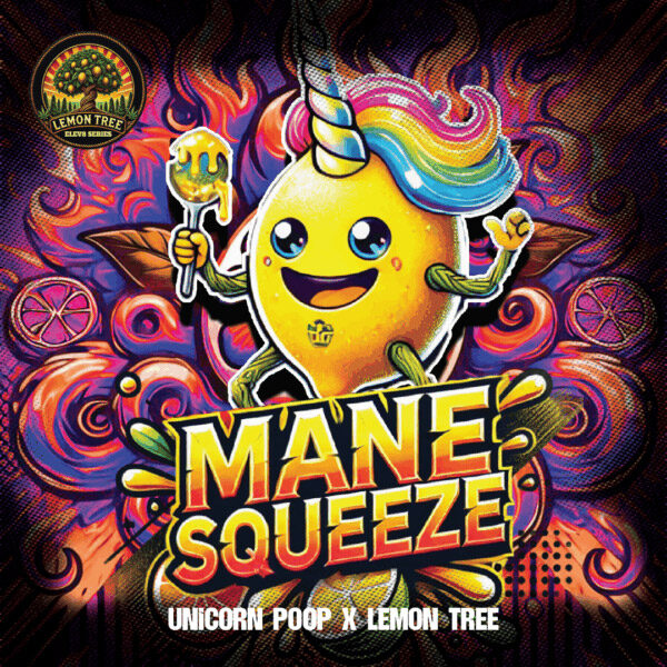 Mane Squeeze feminizada de Elev8 Seeds