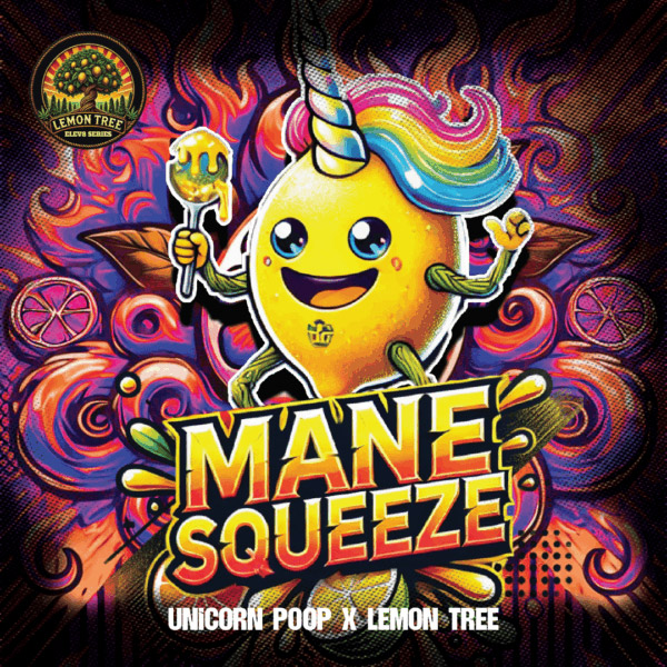 Mane Squeeze feminizada de Elev8 Seeds
