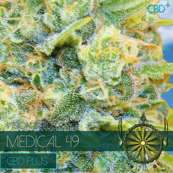 Medical 49 Cbd+ feminizada de Vision Seeds