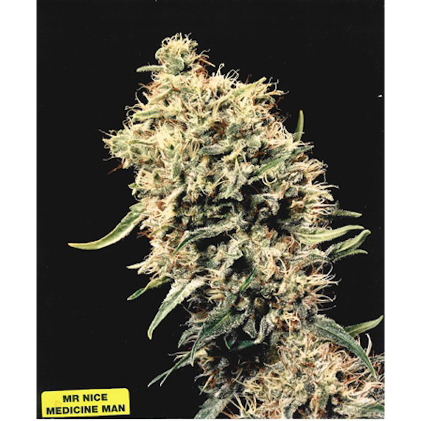 Medicine Man regular de Mr. Nice