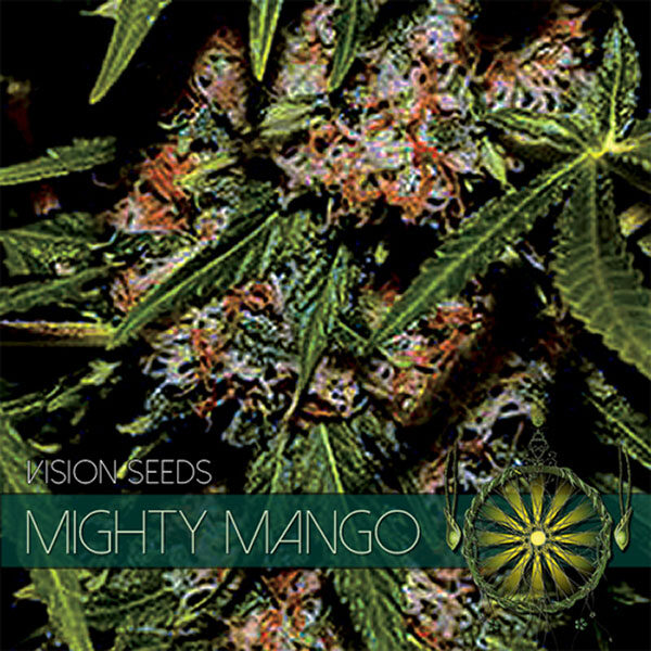 Mighty Mango feminizada de Vision Seeds