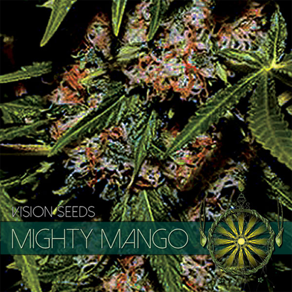Mighty Mango feminizada de Vision Seeds