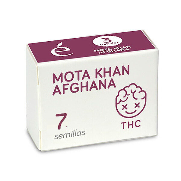Mota Khan Afghana feminizada de Elite Seeds