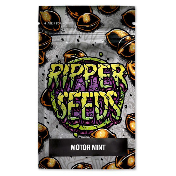 Motor Mint feminizada de Ripper Seeds
