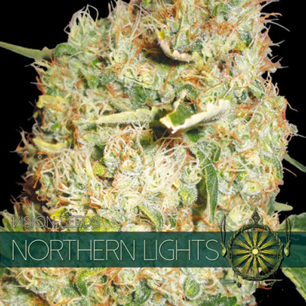 Northern Lights feminizada de Vision Seeds