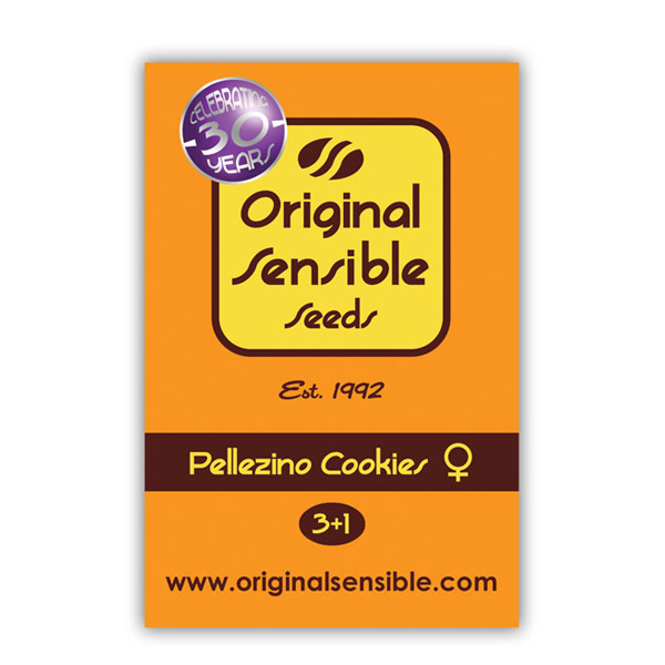 Pellezino Cookies feminizada de Original Sensible Seeds