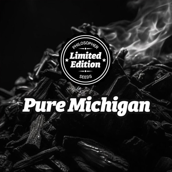Pure Michigan Ed feminizada de Philosopher