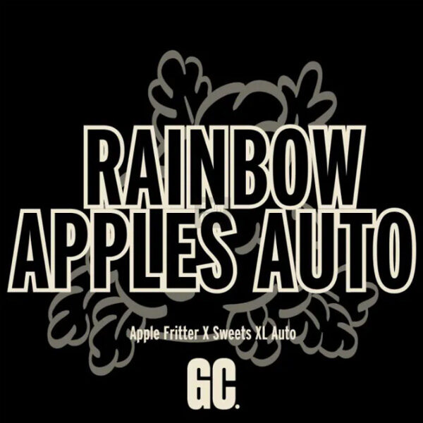 Rainbow Apples Auto de Grand Cru Genetics