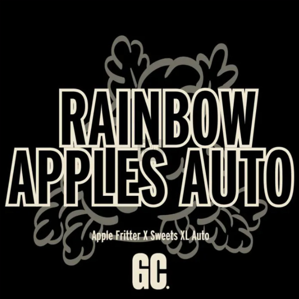 Rainbow Apples Auto de Grand Cru Genetics