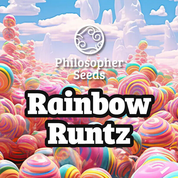 Rainbow Runtz feminizada de Philosopher