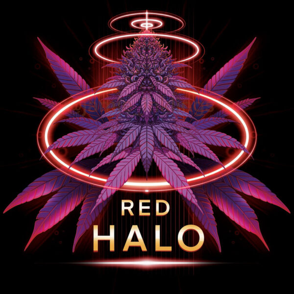 Red Halo feminizada de Conscious Genetics