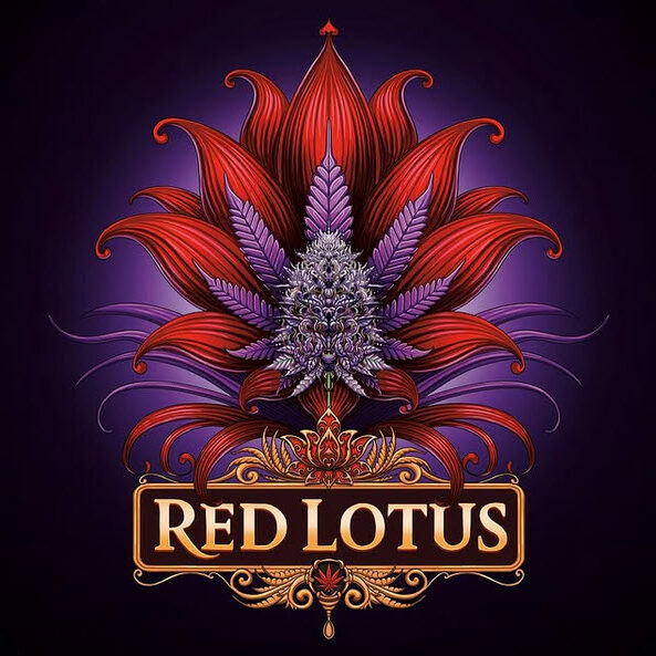 Red Lotus feminizada de Conscious Genetics
