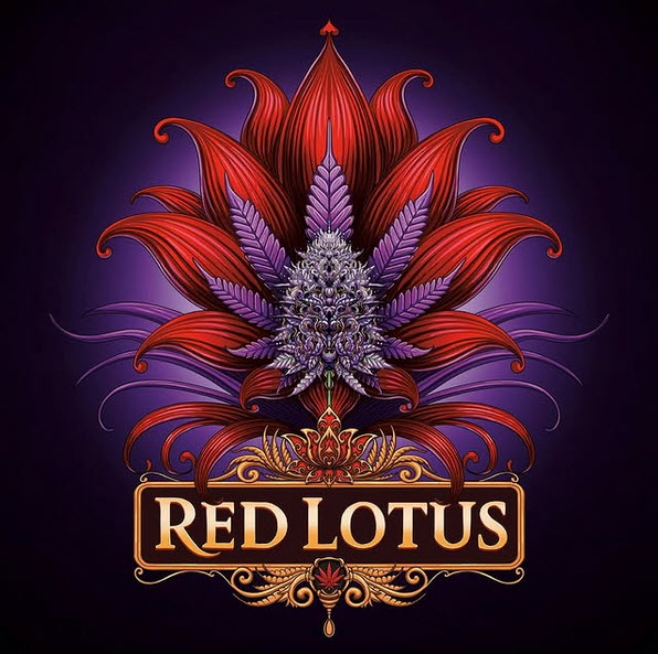 Red Lotus feminizada de Conscious Genetics
