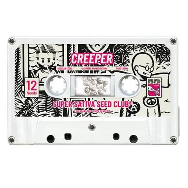 Creeper regular de Super Sativa Seed Club