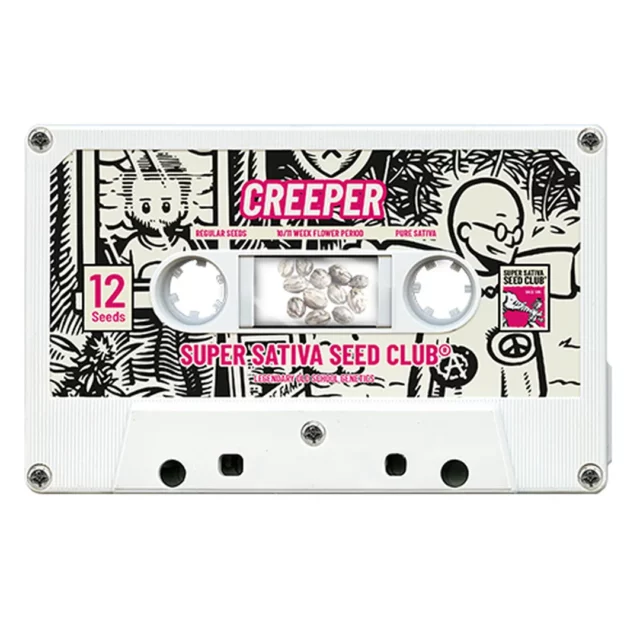 Creeper regular de Super Sativa Seed Club