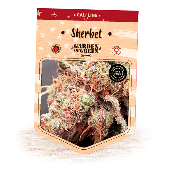 Sherbert feminizada de Garden Of Green Seeds