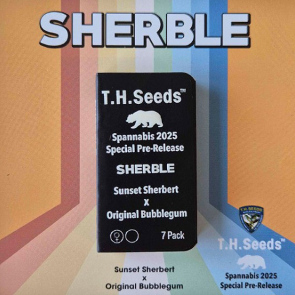 Sherble Sunset Sherbert X Original Bubblegum feminizada de T.h. Seeds