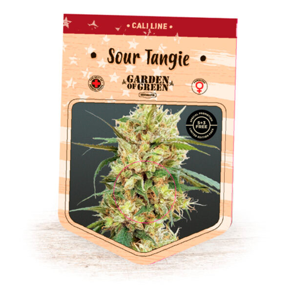 Sour Tangie feminizada de Garden Of Green Seeds
