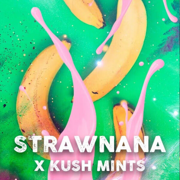 Strawnana Mints feminizada de Tramuntana Seeds