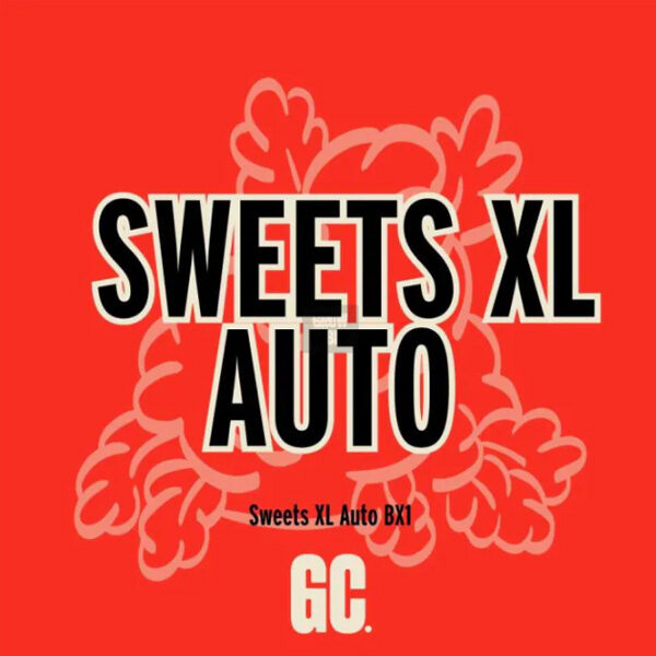 Sweets Xl Auto de Grand Cru Genetics
