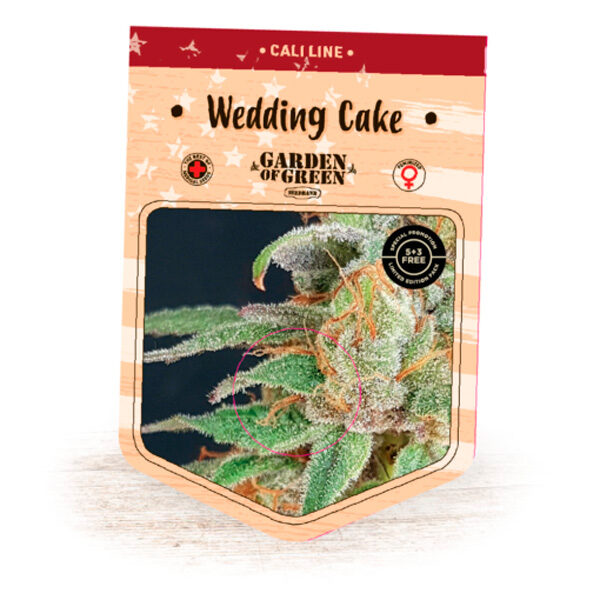 Wedding Cake feminizada de Garden Of Green Seeds