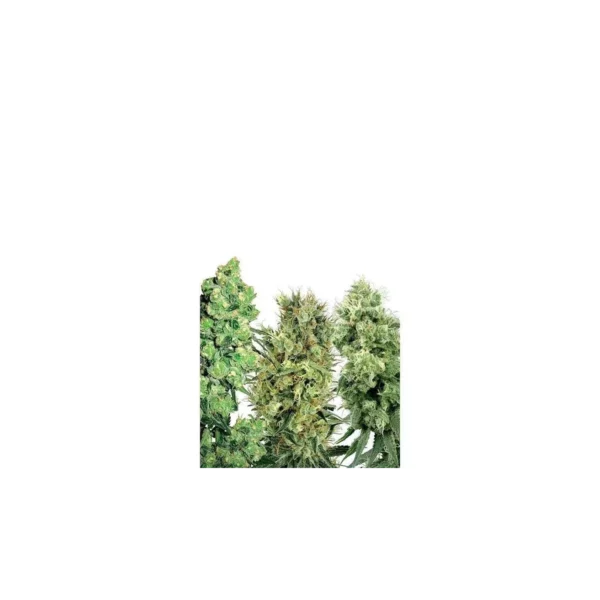 White Label Mix regular de White Label