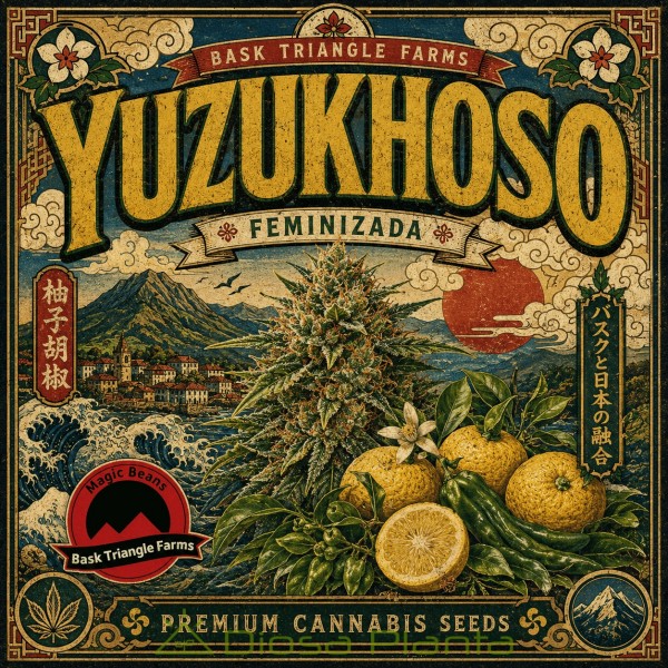 Yuzukhoso 3+1 feminizada de Bask Triangle Farms