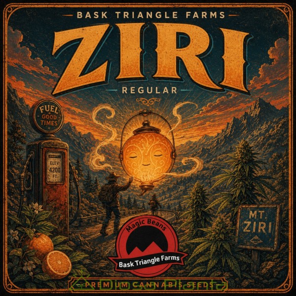 Ziri regular de Bask Triangle Farms