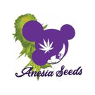 Anesia Seeds